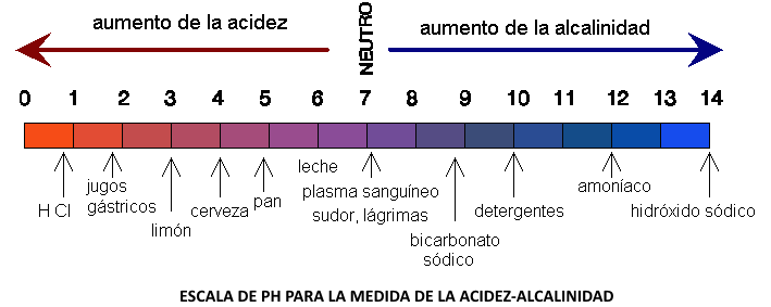 Y basico el ph acido